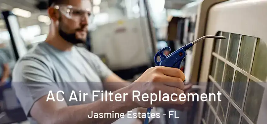 AC Air Filter Replacement Jasmine Estates - FL