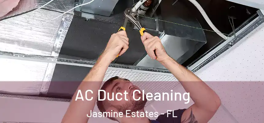 AC Duct Cleaning Jasmine Estates - FL