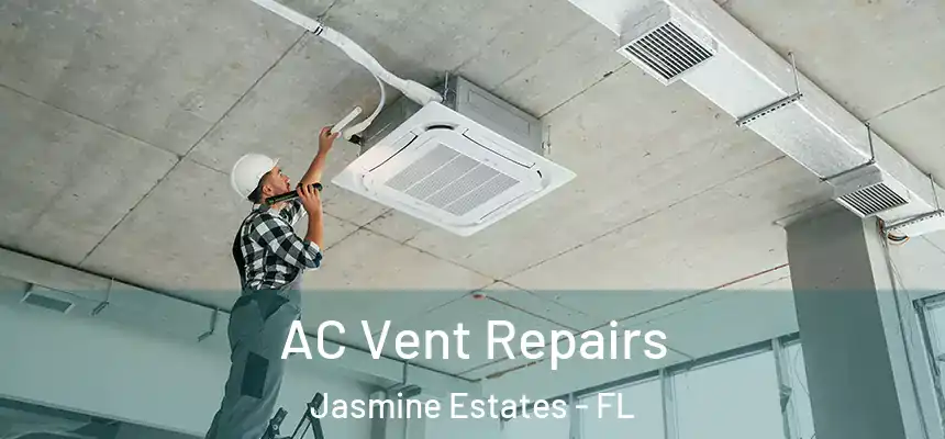  AC Vent Repairs Jasmine Estates - FL