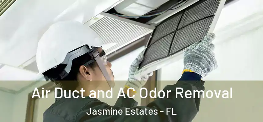 Air Duct and AC Odor Removal Jasmine Estates - FL
