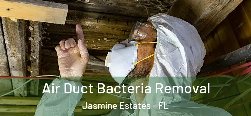  Air Duct Bacteria Removal Jasmine Estates - FL