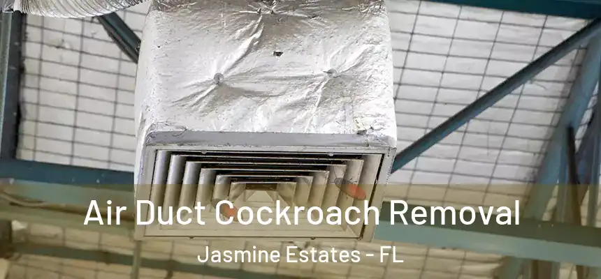  Air Duct Cockroach Removal Jasmine Estates - FL