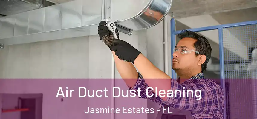 Air Duct Dust Cleaning Jasmine Estates - FL