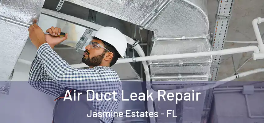 Air Duct Leak Repair Jasmine Estates - FL