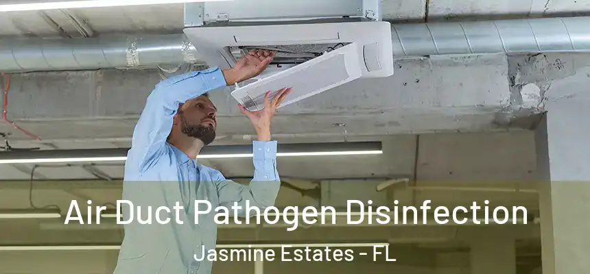 Air Duct Pathogen Disinfection Jasmine Estates - FL