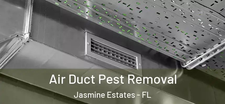  Air Duct Pest Removal Jasmine Estates - FL