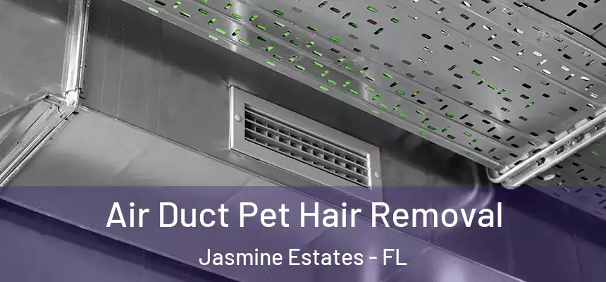 Air Duct Pet Hair Removal Jasmine Estates - FL