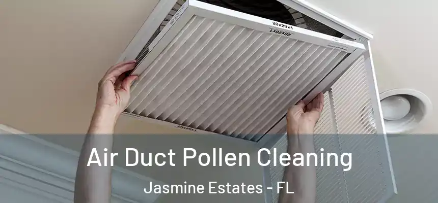  Air Duct Pollen Cleaning Jasmine Estates - FL
