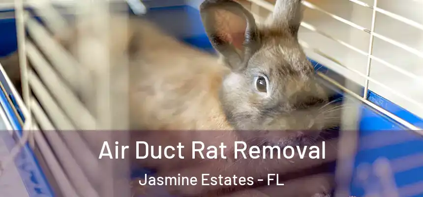  Air Duct Rat Removal Jasmine Estates - FL