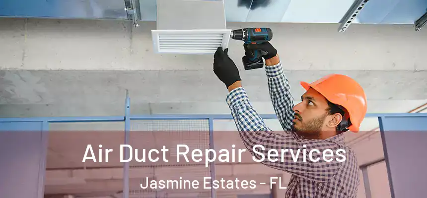 Air Duct Repair Services Jasmine Estates - FL