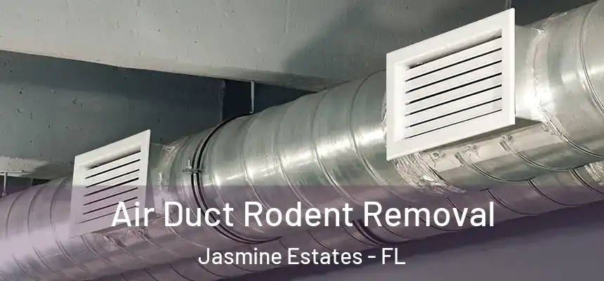  Air Duct Rodent Removal Jasmine Estates - FL