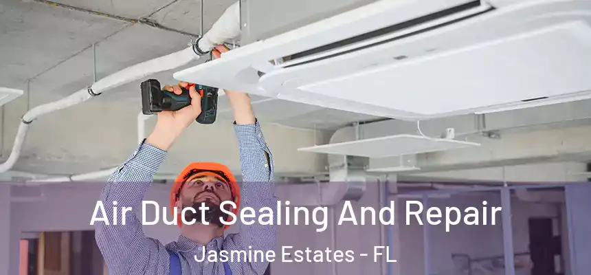 Air Duct Sealing And Repair Jasmine Estates - FL