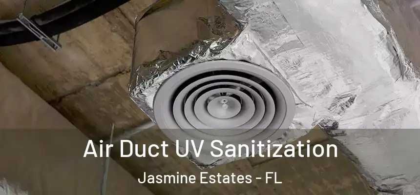  Air Duct UV Sanitization Jasmine Estates - FL