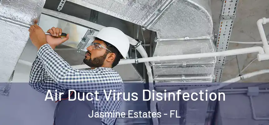  Air Duct Virus Disinfection Jasmine Estates - FL