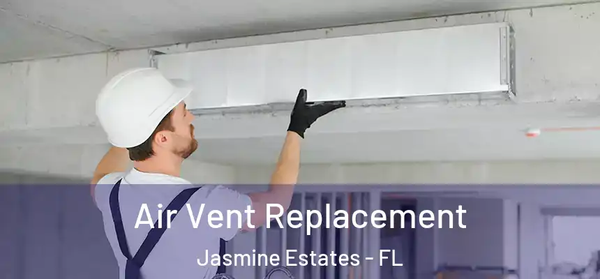 Air Vent Replacement Jasmine Estates - FL