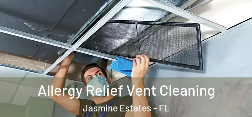 Allergy Relief Vent Cleaning Jasmine Estates - FL