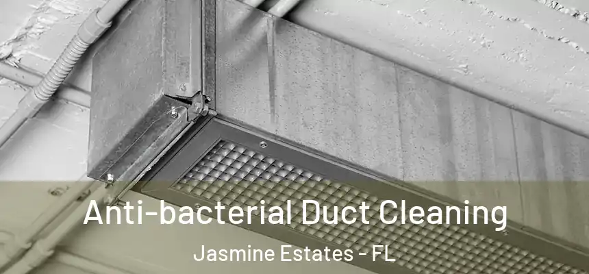  Anti-bacterial Duct Cleaning Jasmine Estates - FL