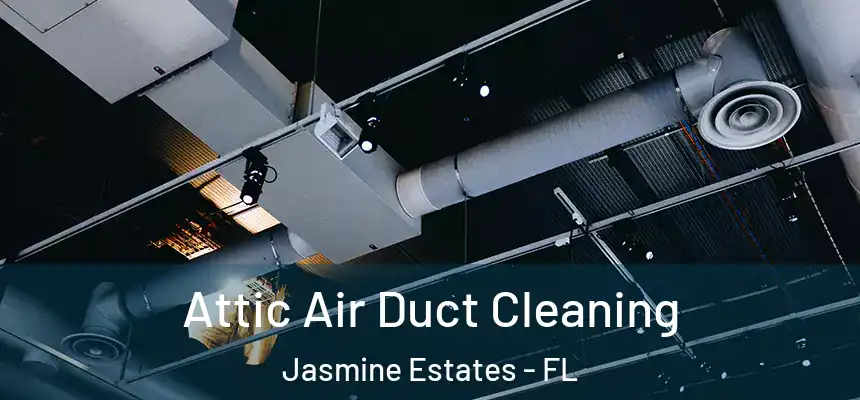Attic Air Duct Cleaning Jasmine Estates - FL