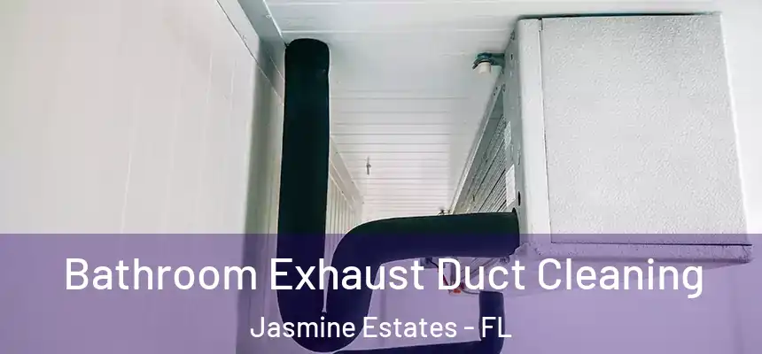 Bathroom Exhaust Duct Cleaning Jasmine Estates - FL