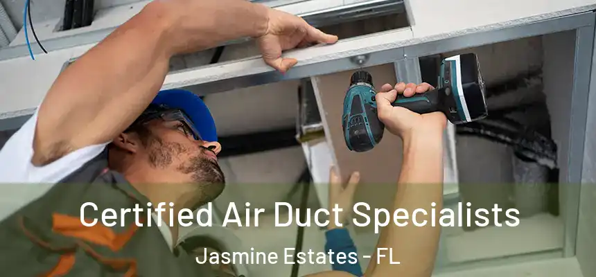  Certified Air Duct Specialists Jasmine Estates - FL