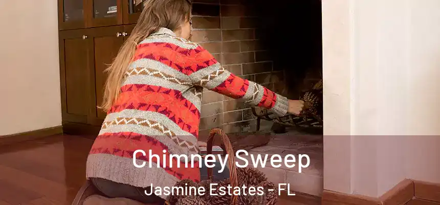 Chimney Sweep Jasmine Estates - FL