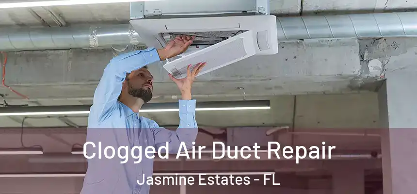  Clogged Air Duct Repair Jasmine Estates - FL