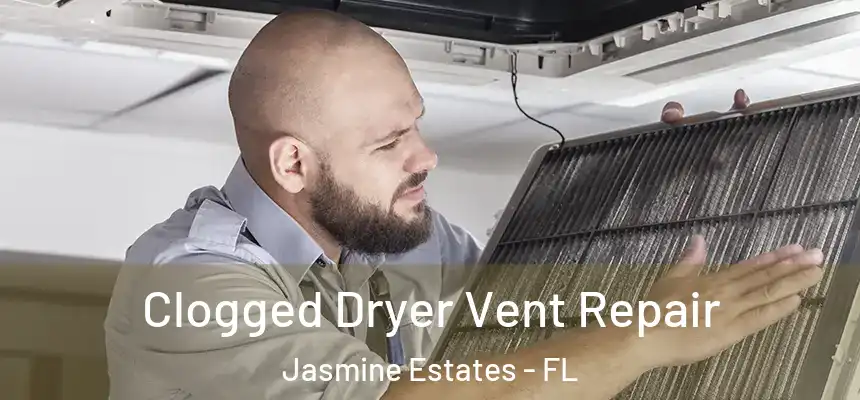 Clogged Dryer Vent Repair Jasmine Estates - FL