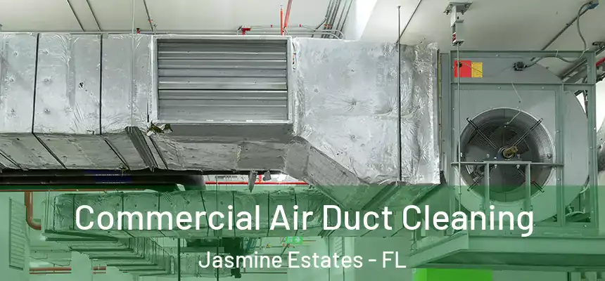 Commercial Air Duct Cleaning Jasmine Estates - FL