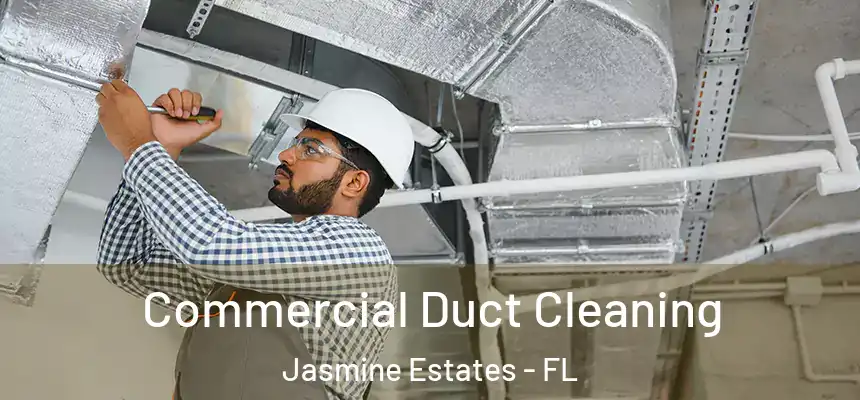Commercial Duct Cleaning Jasmine Estates - FL