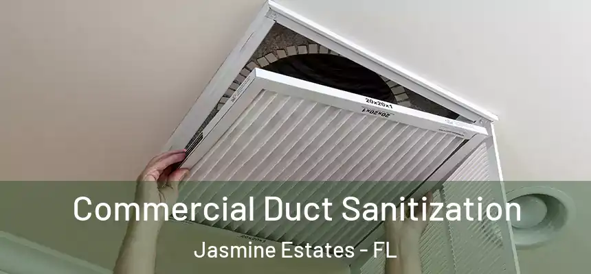 Commercial Duct Sanitization Jasmine Estates - FL
