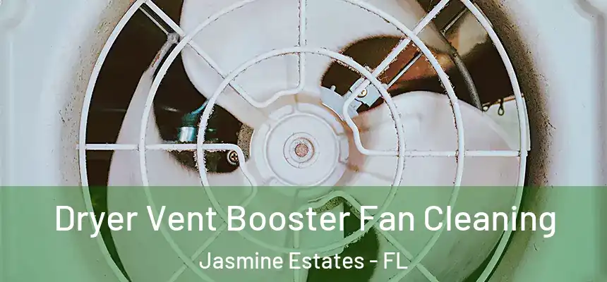 Dryer Vent Booster Fan Cleaning Jasmine Estates - FL