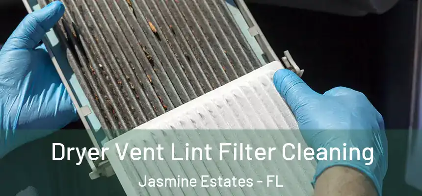  Dryer Vent Lint Filter Cleaning Jasmine Estates - FL