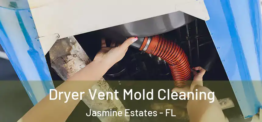 Dryer Vent Mold Cleaning Jasmine Estates - FL