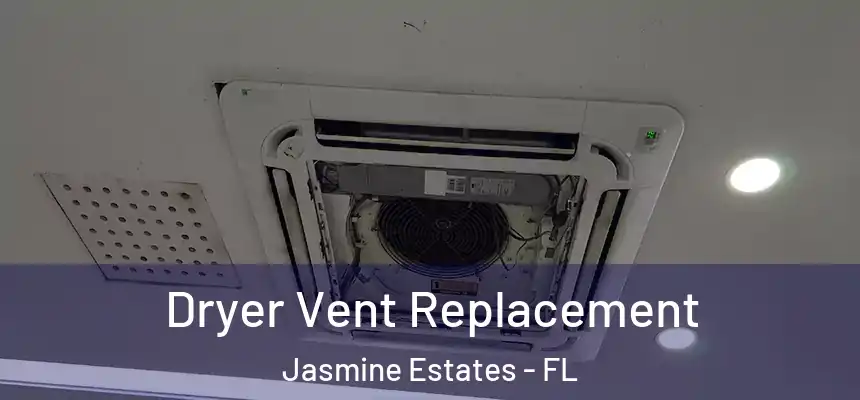  Dryer Vent Replacement Jasmine Estates - FL