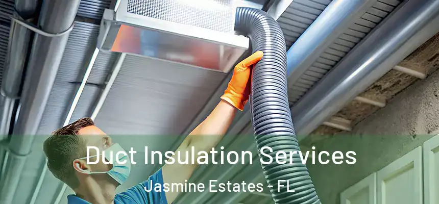 Duct Insulation Services Jasmine Estates - FL