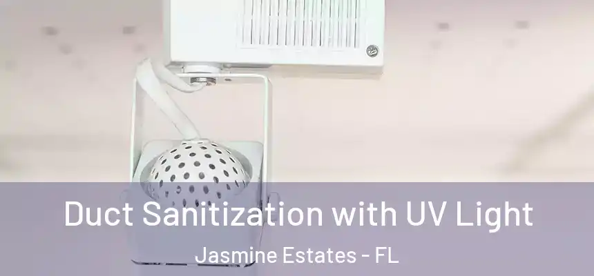  Duct Sanitization with UV Light Jasmine Estates - FL