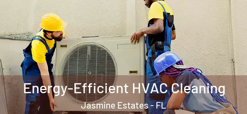  Energy-Efficient HVAC Cleaning Jasmine Estates - FL