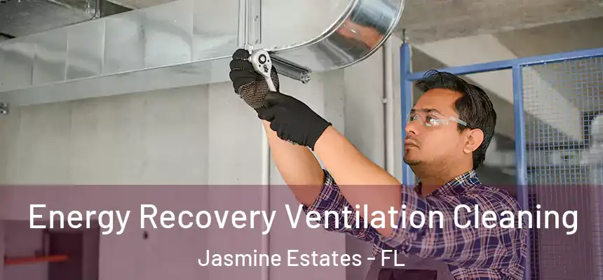  Energy Recovery Ventilation Cleaning Jasmine Estates - FL