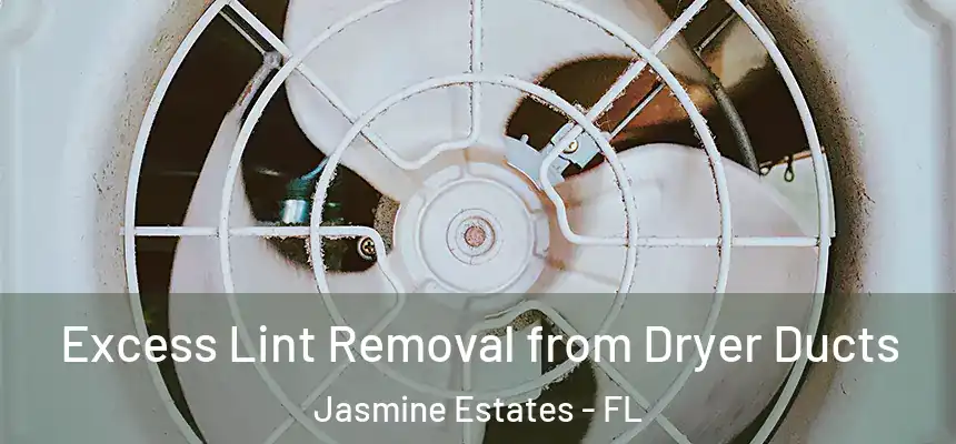  Excess Lint Removal from Dryer Ducts Jasmine Estates - FL