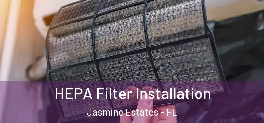  HEPA Filter Installation Jasmine Estates - FL