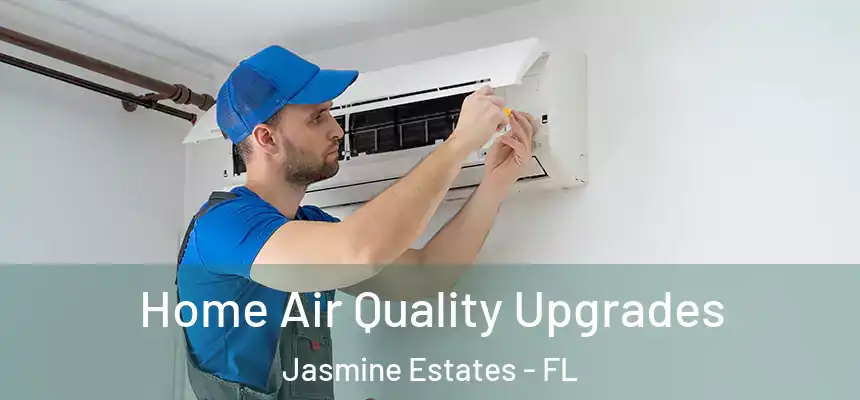 Home Air Quality Upgrades Jasmine Estates - FL