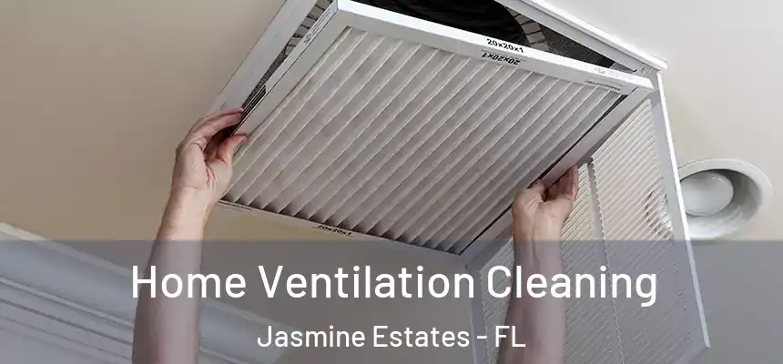  Home Ventilation Cleaning Jasmine Estates - FL