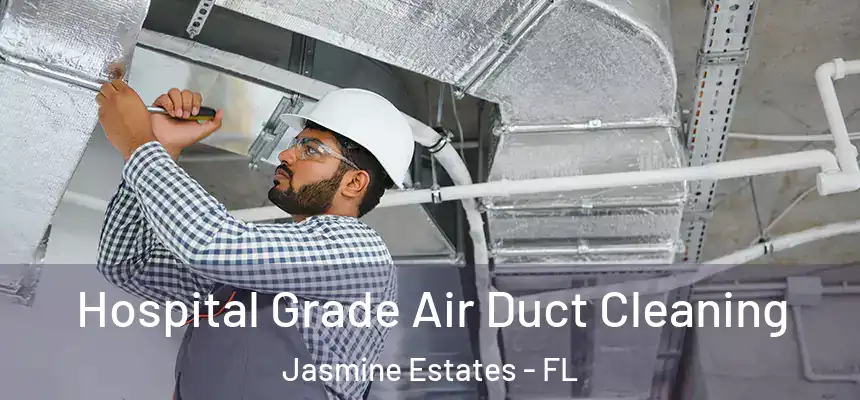 Hospital Grade Air Duct Cleaning Jasmine Estates - FL