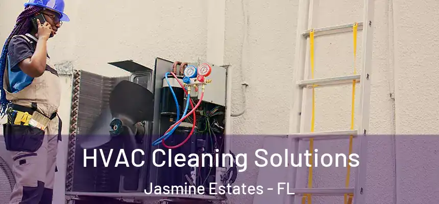  HVAC Cleaning Solutions Jasmine Estates - FL
