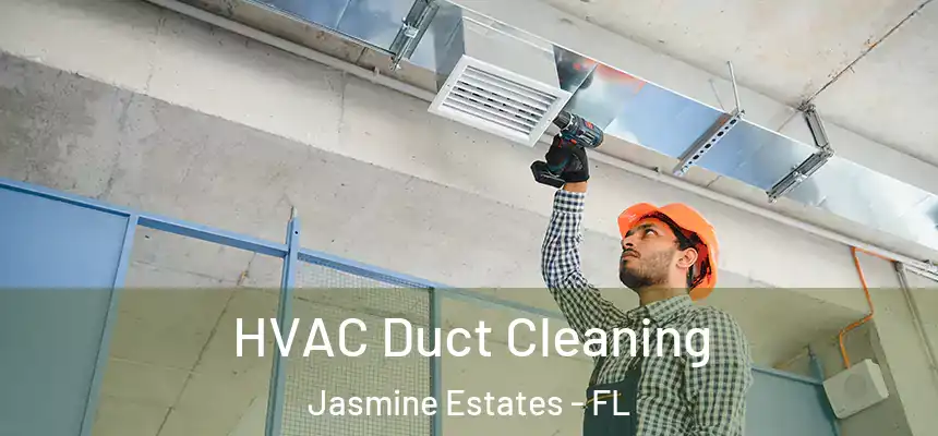  HVAC Duct Cleaning Jasmine Estates - FL