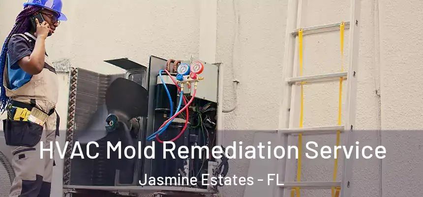 HVAC Mold Remediation Service Jasmine Estates - FL