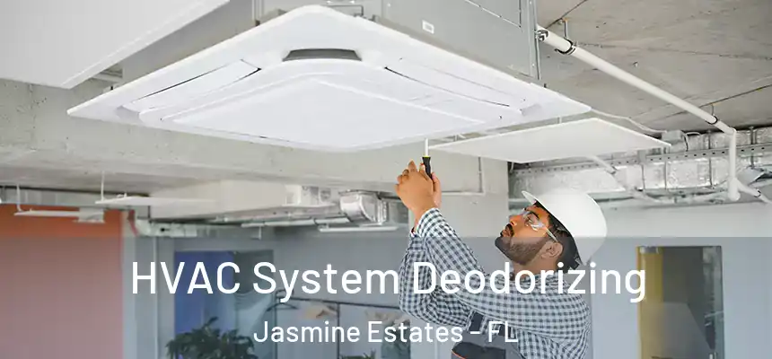  HVAC System Deodorizing Jasmine Estates - FL