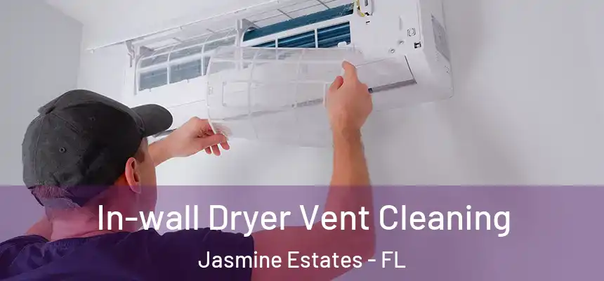 In-wall Dryer Vent Cleaning Jasmine Estates - FL