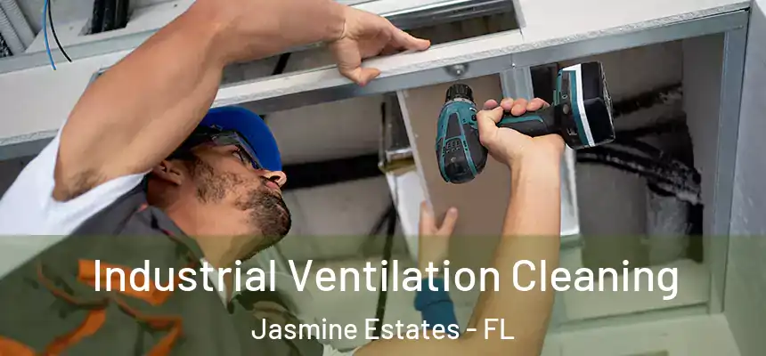 Industrial Ventilation Cleaning Jasmine Estates - FL