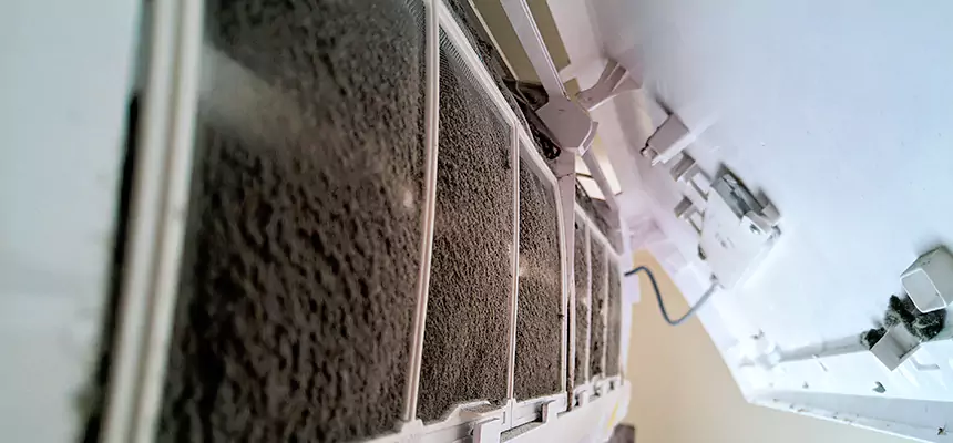 Preventive Air Duct Bacteria Removal in Jasmine Estates